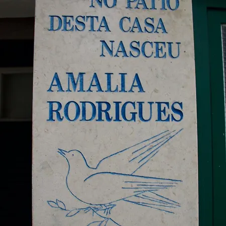 Downtown Amalia Apartment